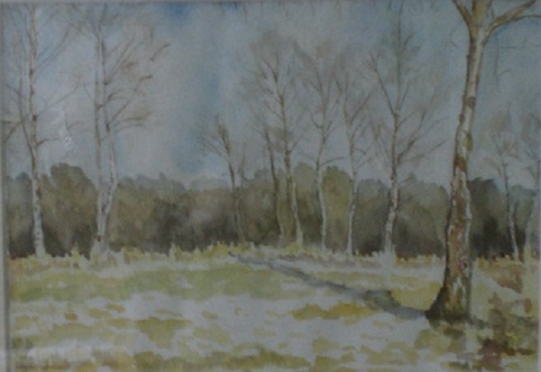Winter Woods